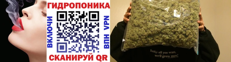 Где найти наркотики Шатура Псилоцибиновые грибы  LSD-25  КОКАИН  А ПВП  Амфетамин  Гашиш 