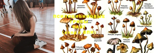 спайс Алексин