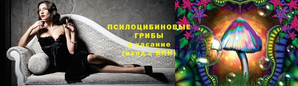каннабис Алзамай